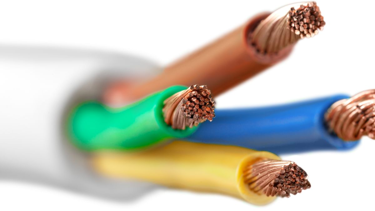 Undersea Cables: How New Zealand Stays Connected to the World